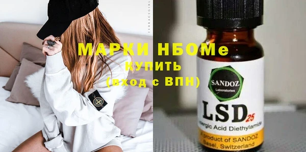индика Верхний Тагил