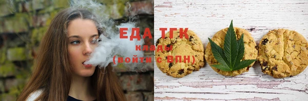 индика Верхний Тагил