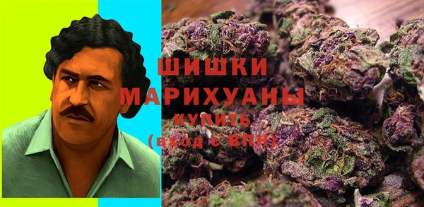спиды Верея