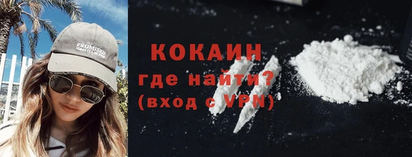 индика Верхний Тагил