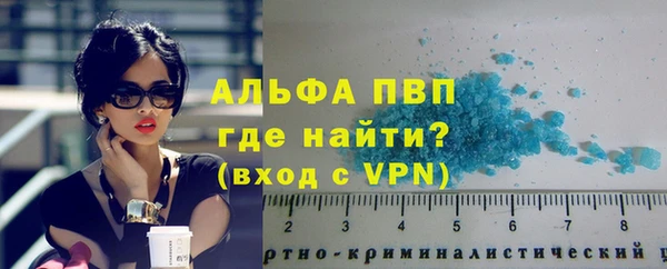 индика Верхний Тагил