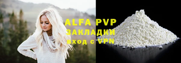 индика Верхний Тагил