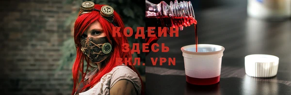 индика Верхний Тагил