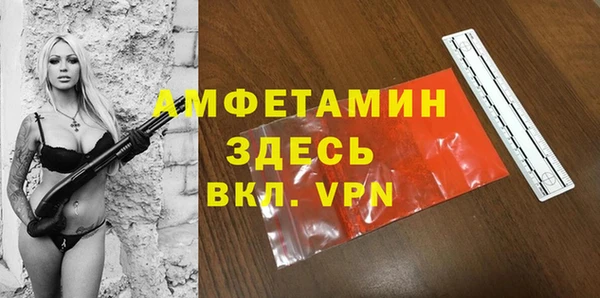 индика Верхний Тагил