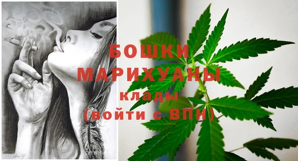 спиды Верея