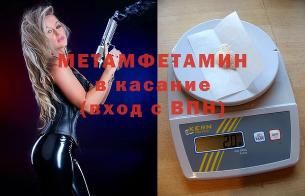 индика Верхний Тагил