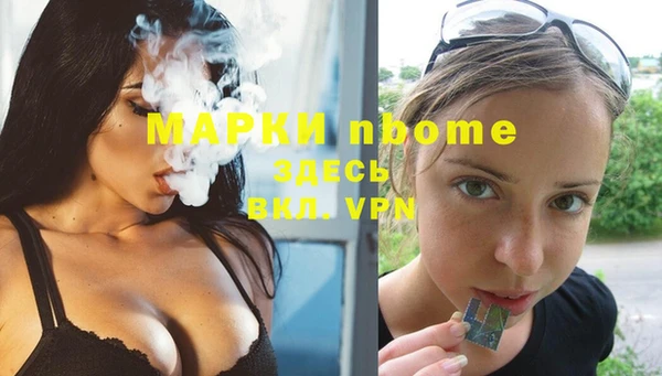 индика Верхний Тагил