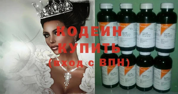 индика Верхний Тагил
