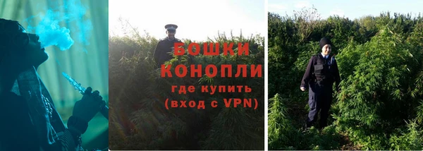 спиды Верея