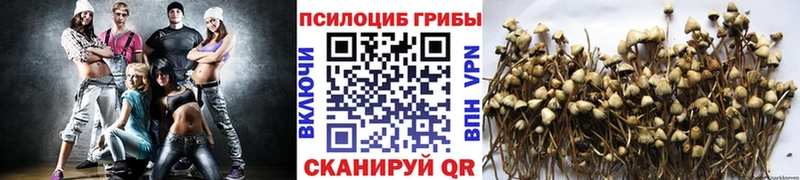 Псилоцибиновые грибы Psilocybe  Орск 